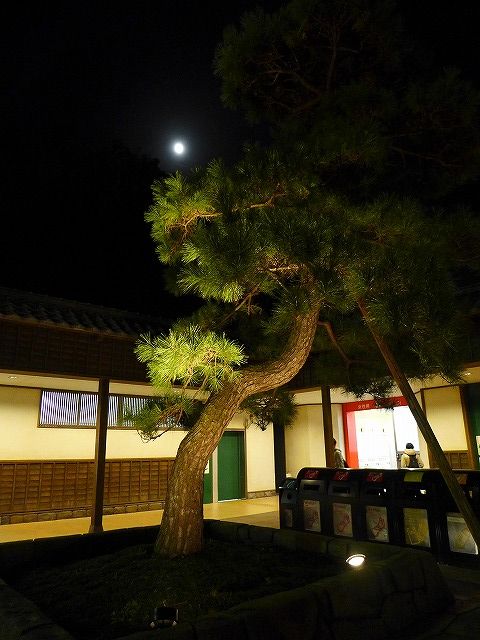 イメージ 20