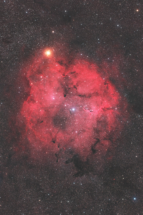 IC1396.BXT.2026.07.14.WebⅣ