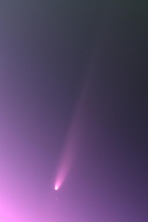 紫金山・アトラス彗星.2024.10.13.WebⅦ