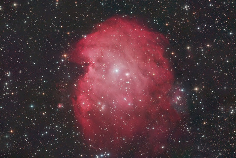 NGC2174上下逆.2024.11.03.WebⅦ