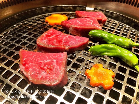 Korean-barbecue-Hibikitei-Meito-ku11