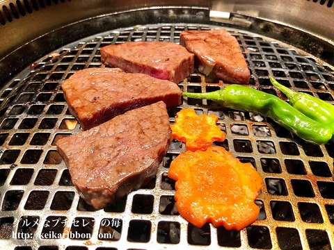 Korean-barbecue-Hibikitei-Meito-ku12