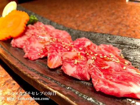 Korean-barbecue-Hibikitei-Meito-ku13