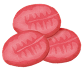 [Yakiniku-Sejong-Marunouchi-branch]25