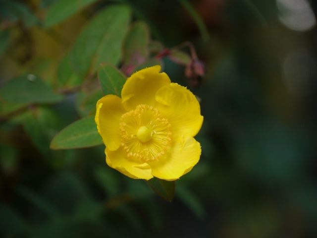 1480640