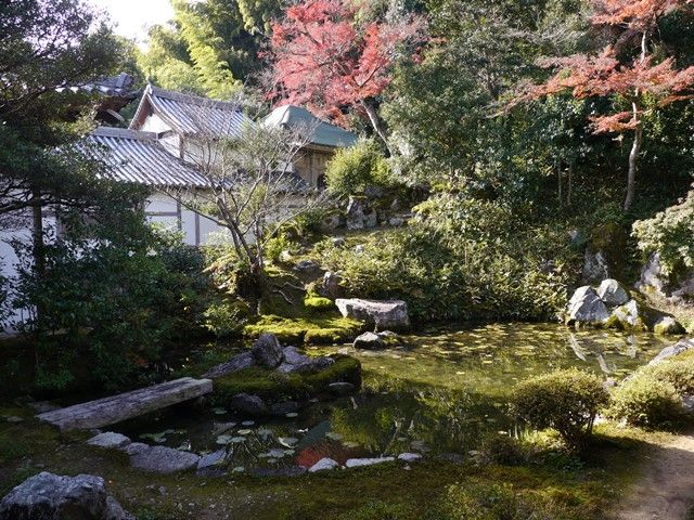 散策日記 主に京都 四季の彩り雅やかに : 2017秋 浄住寺から地蔵院 鈴虫寺 月読神社 松尾大社の紅葉