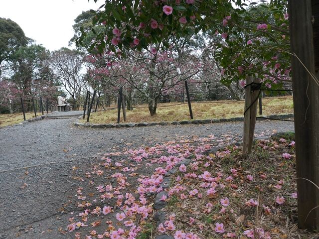P2180361