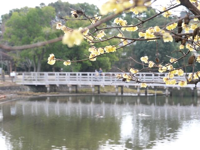 P2180159