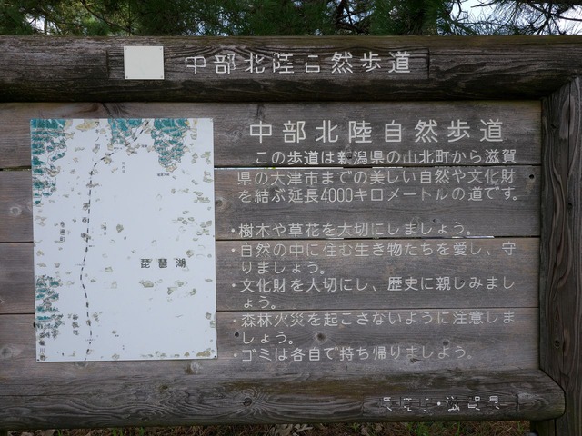 2160359