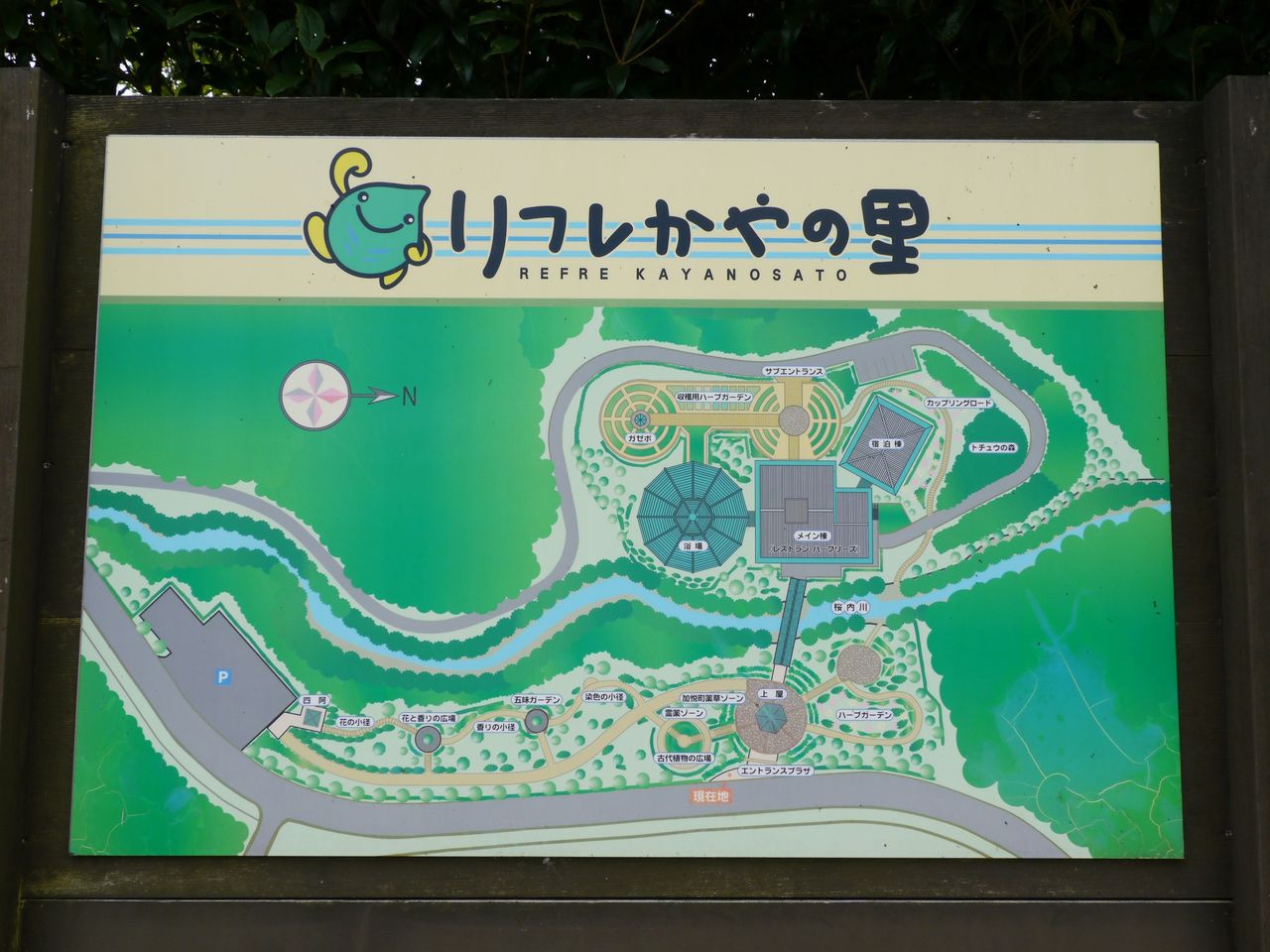 与謝野町ひまわりフェスティバルと たんとう花公園ひまわり畑 散策日記 主に京都 四季の彩り雅やかに 与謝野町ひまわりフェスティバルと たんとう花公園ひまわり畑 散策日記 主に京都 四季の彩り雅やかに