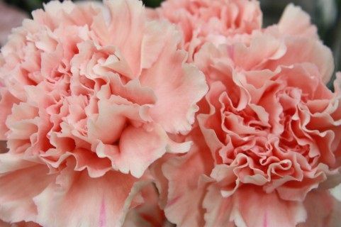 ２０１５年 第676回全国自治宝くじ 宝くじ発売70周年記念くじ 当選番号案内 ２０１５年5月11日 月 抽せん宝くじ 市川 恵子 オフィシャルblog