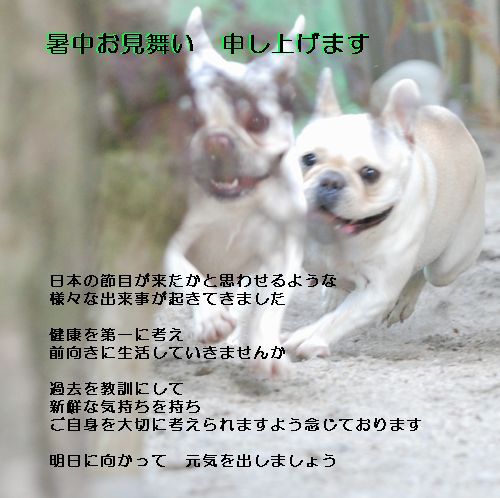 暑