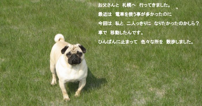 271c4a5b.jpg