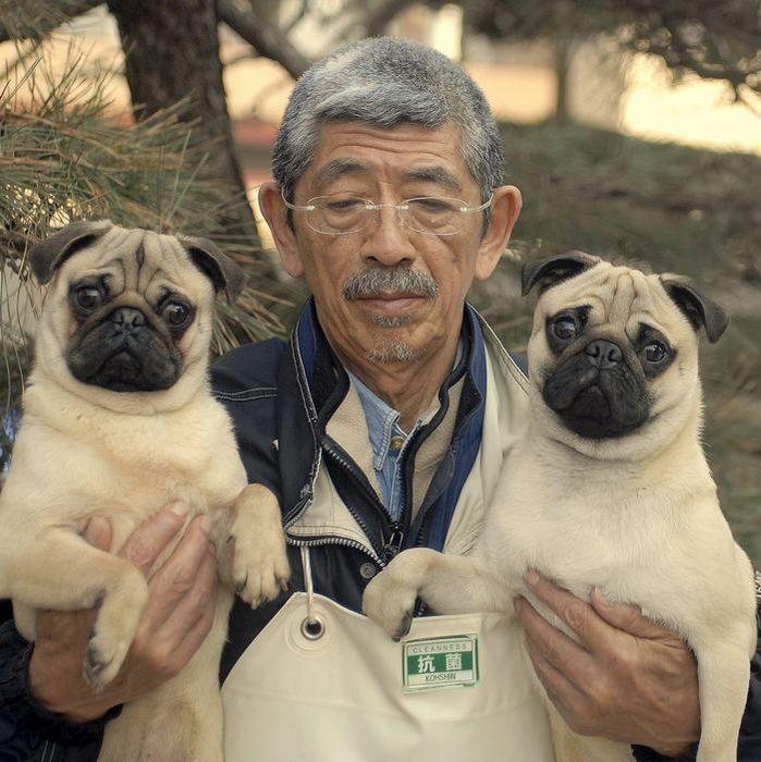 犬ー2