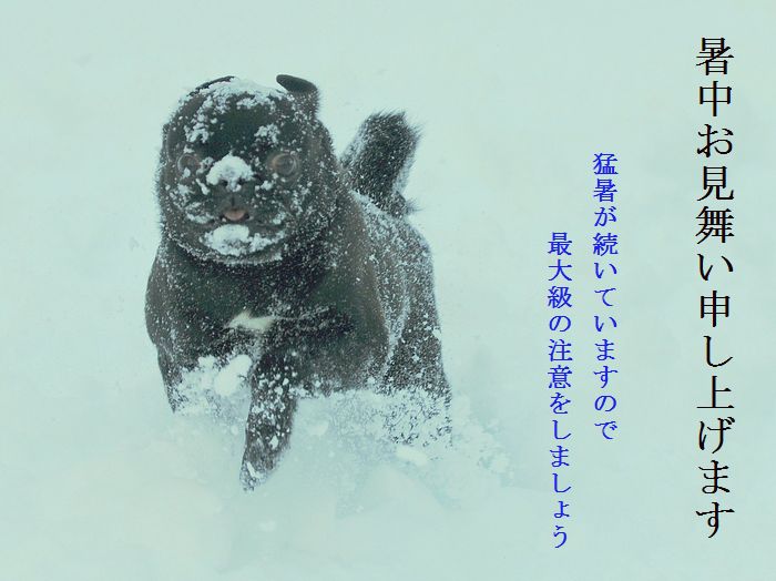 w2 暑中お見舞い申し上げますー猛暑