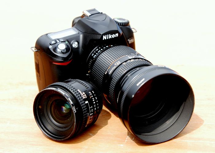 968445de.jpg