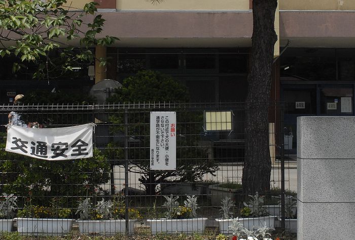 いぬー5