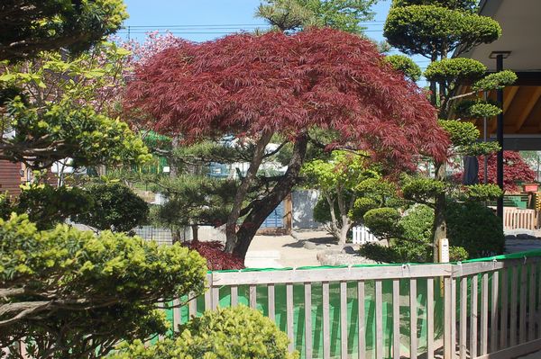 ceaf63f5.jpg