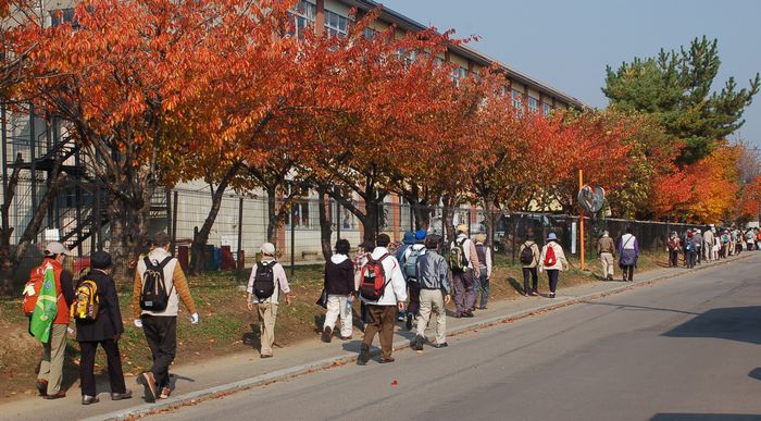 通学路-7