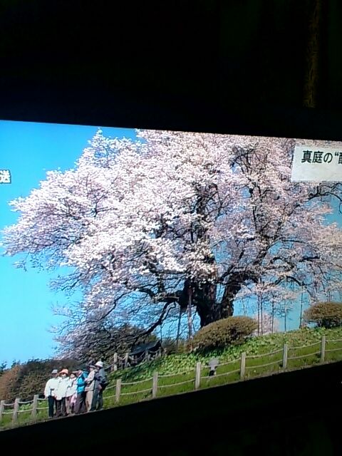 能勢慶子 の 絵日記