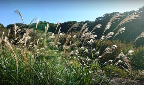 6444D44D-D6C5-4435-B2D1-DB4ED5F27774