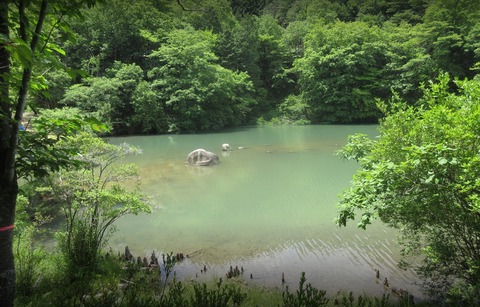 969E7D0B-620D-406C-9639-4B7E169012FC