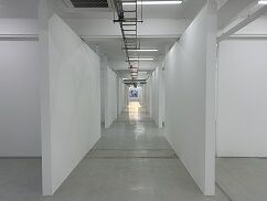 IMG_1040