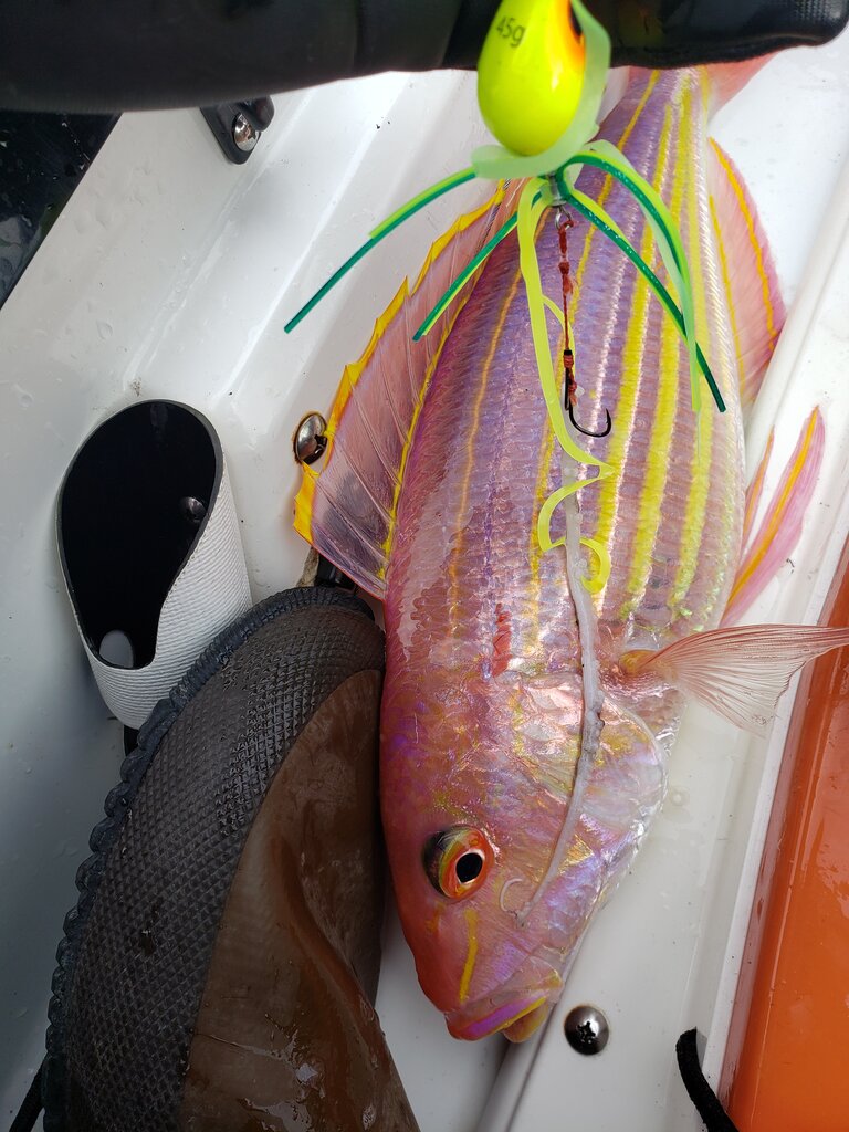 釣り中に怪我をした時におすすめのバンドエイド おサカナのキモチを考える会 By カンピ 釣り中に怪我をした時におすすめのバンドエイド おサカナのキモチを考える会 By カンピ
