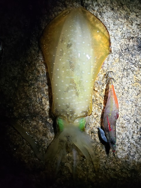 20191026_184036