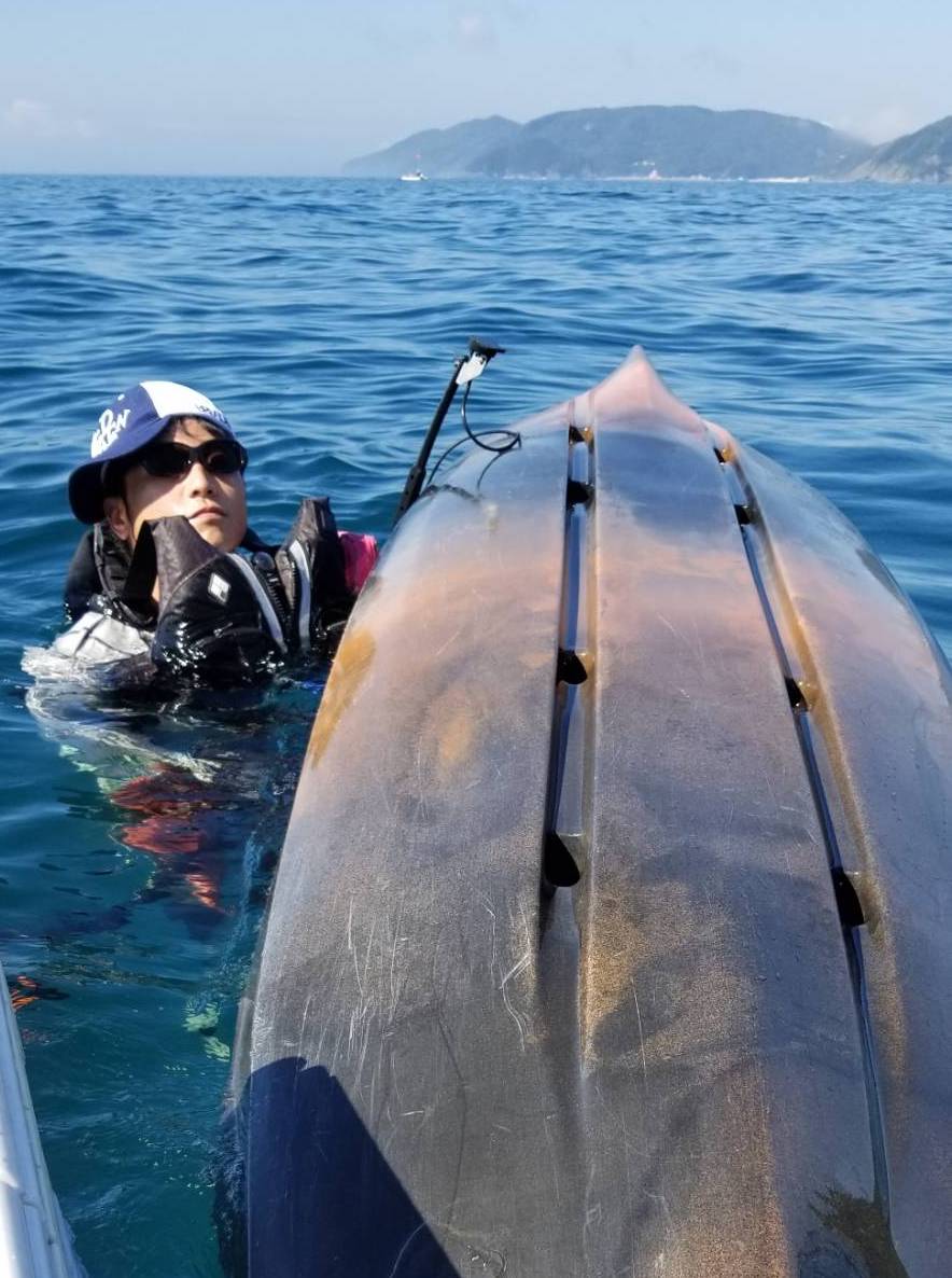 シーカヤックの転覆 おサカナのキモチを考える会 By カンピ