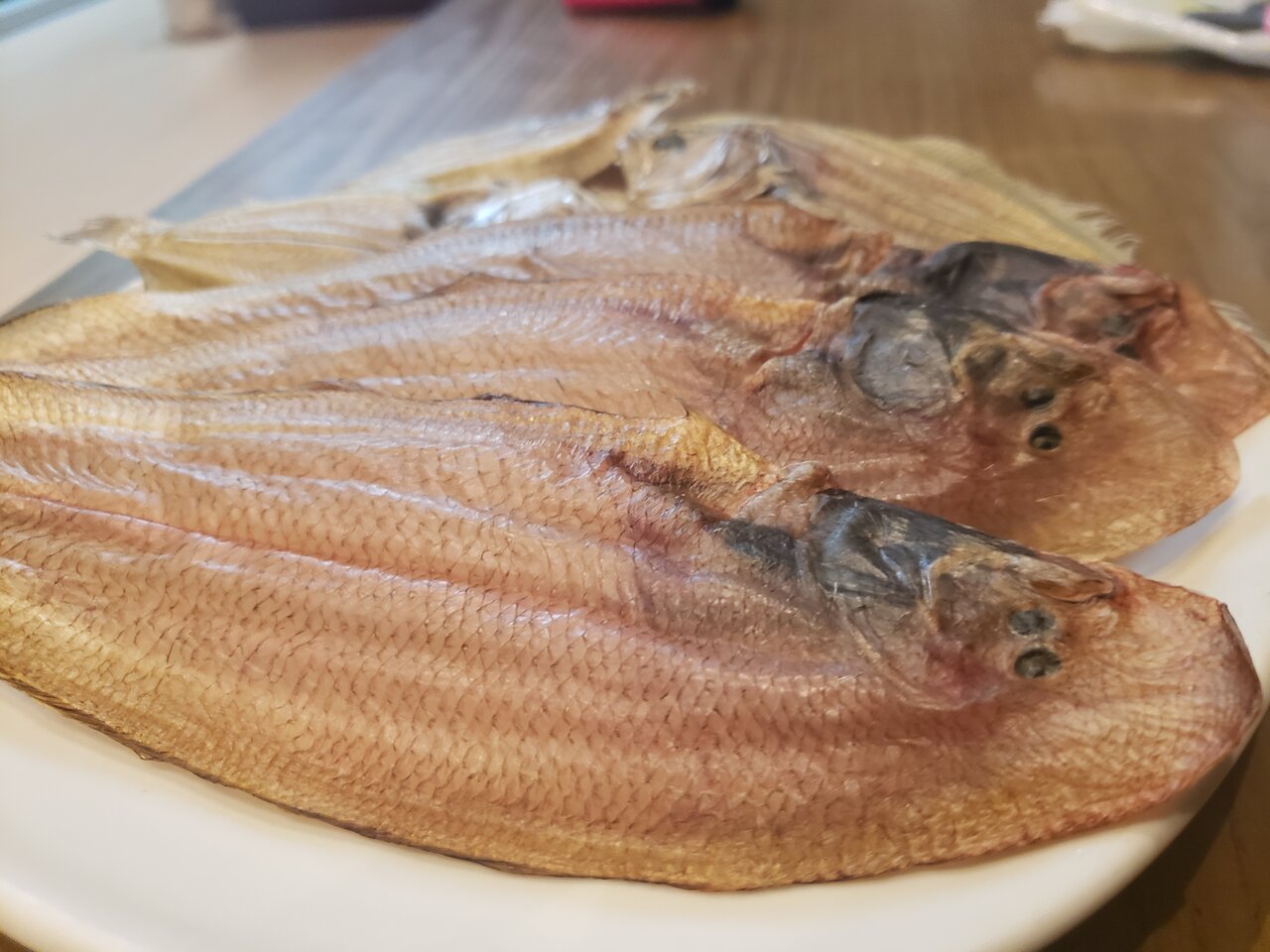 でべら もろた ご存知 おサカナのキモチを考える会 By カンピ でべら もろた ご存知 おサカナのキモチを考える会 By カンピ