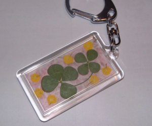 押し花額と キーホルダー 爽やかに過ごしたい