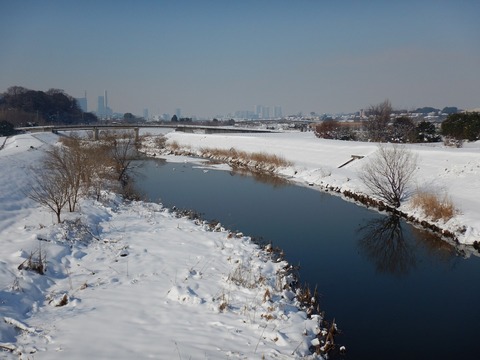DSCN7340