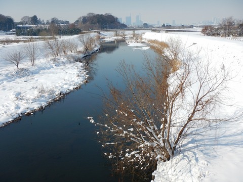 DSCN7353