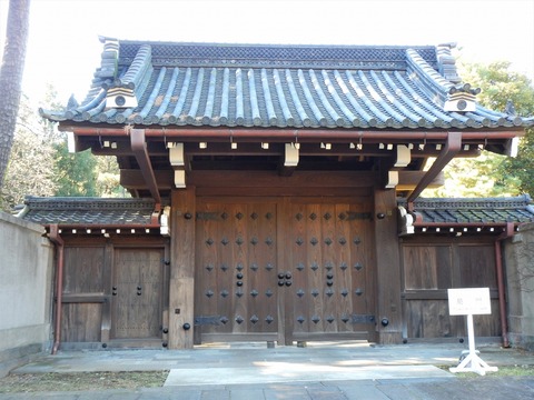 DSCN1679