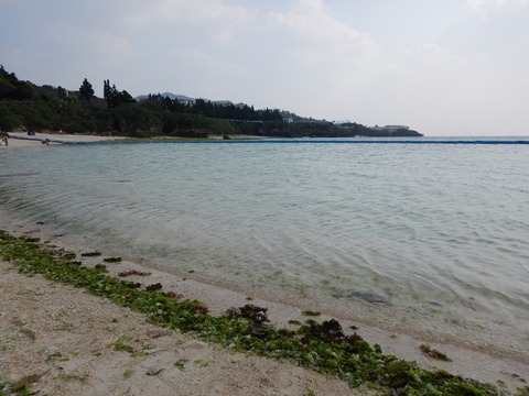 DSCN0477