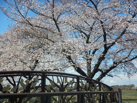 DSCN2682