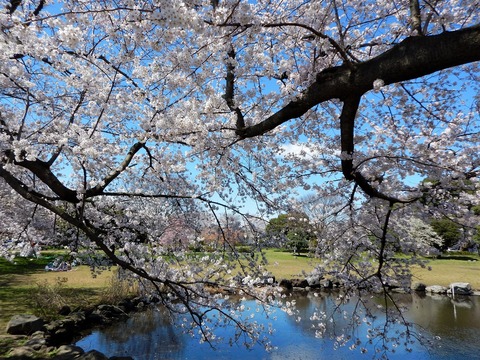 DSCN2666