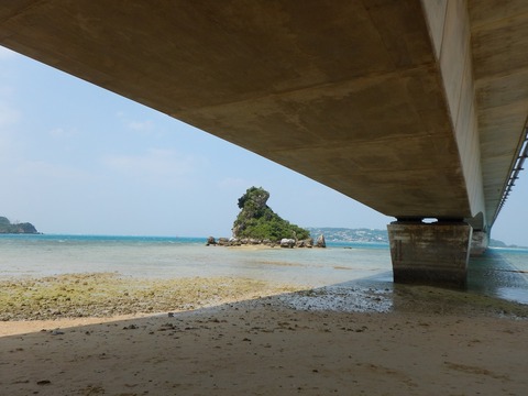 DSCN0396