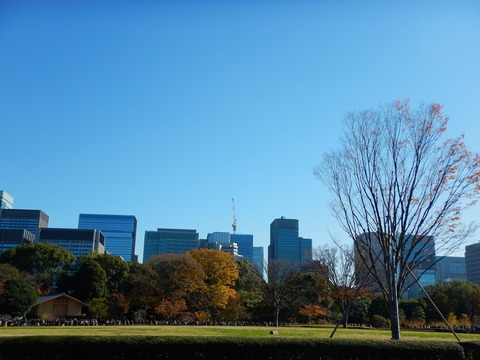 DSCN1767