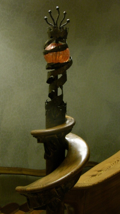 RIMG0885