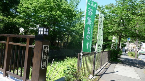 P1000454