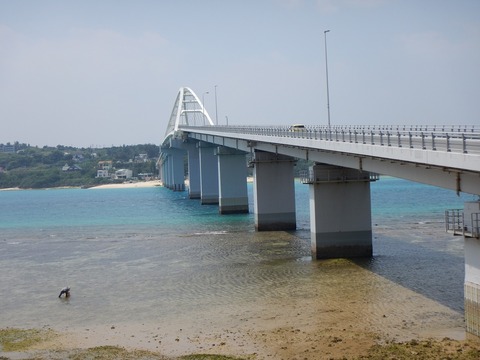 DSCN0371