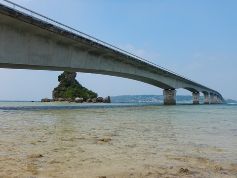 DSCN0423