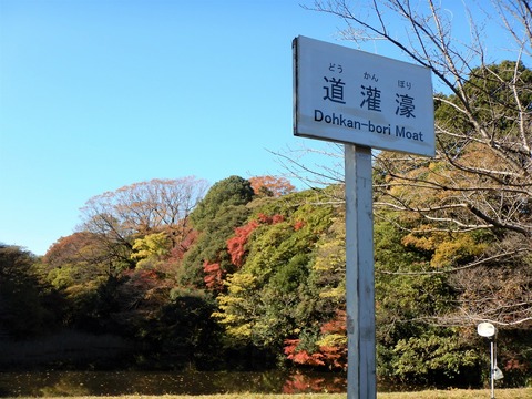 DSCN1721