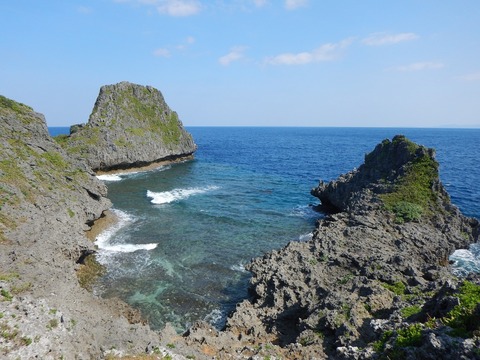 DSCN0642
