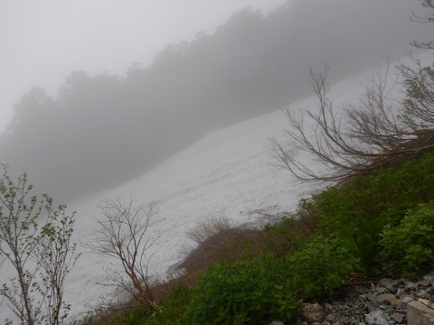 DSCN4650