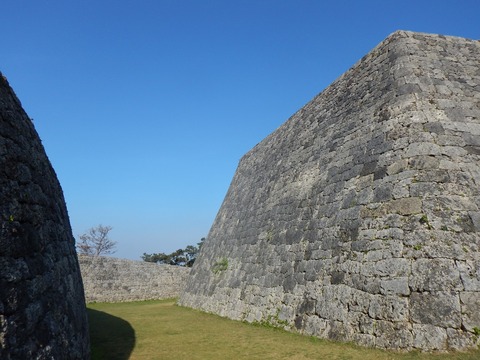 DSCN0569