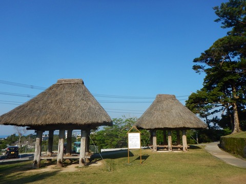 DSCN0539