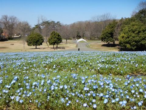 DSCN2339